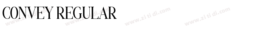 CONVEY REGULAR字体转换